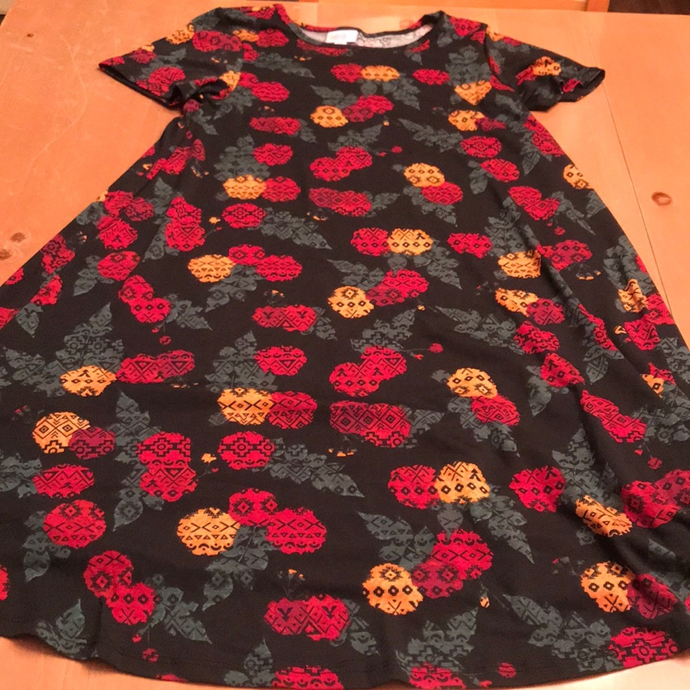 LuLaRoe Carly Dress